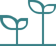 Method icon